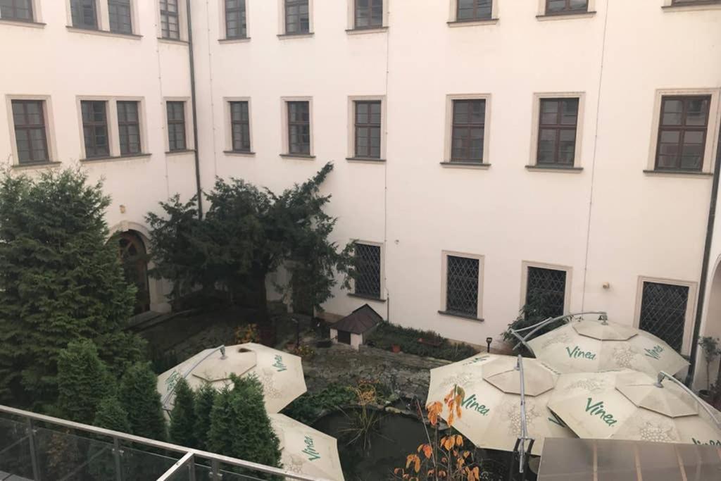 Apartment Right In The Center Of Брно Екстер'єр фото